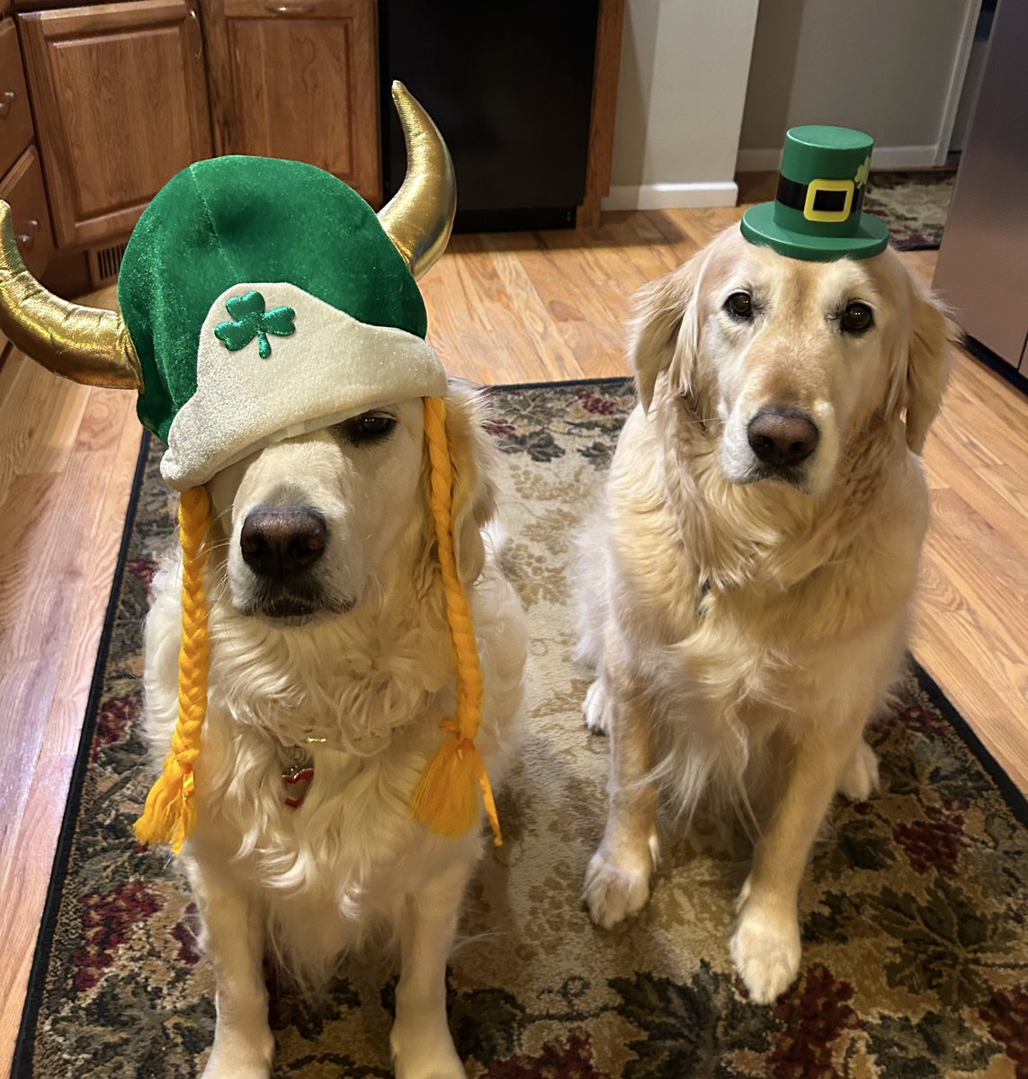 Huckleberry & Holly-berry tweet media