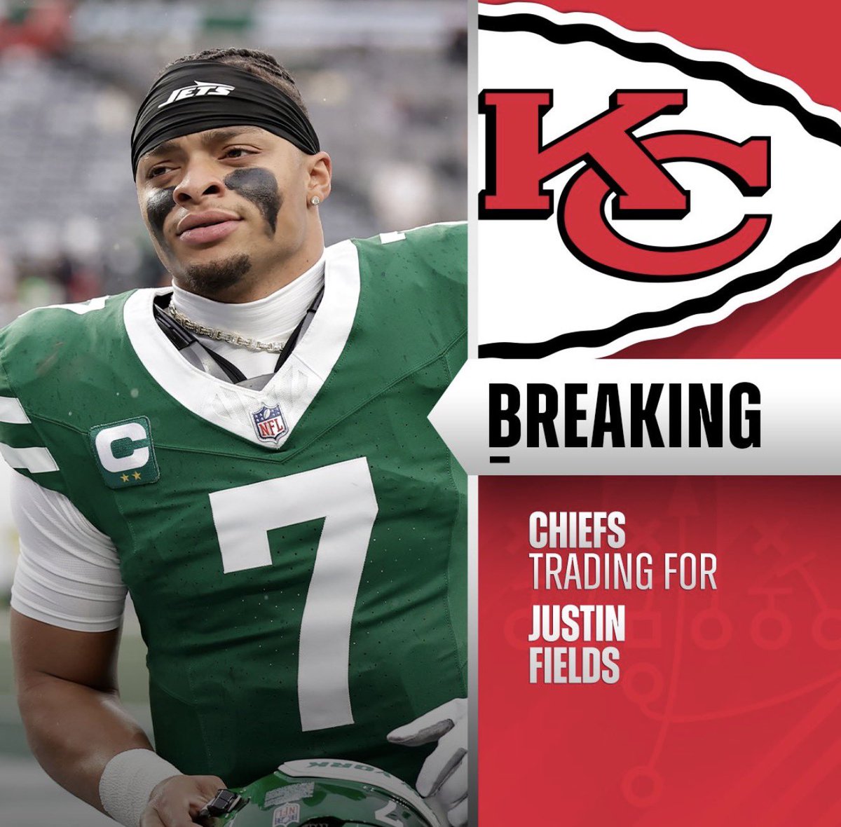 Bears Facts tweet media