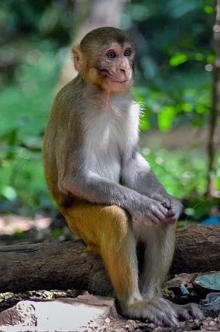 勝手にインド観光局🇮🇳 tweet media