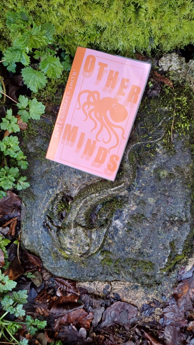 Ludlow Library tweet media