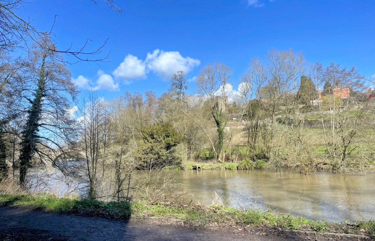 Ludlow Library tweet media