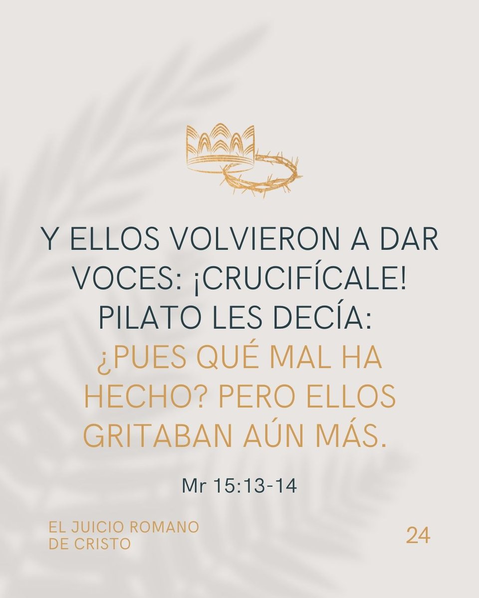 Editorial Portavoz tweet media