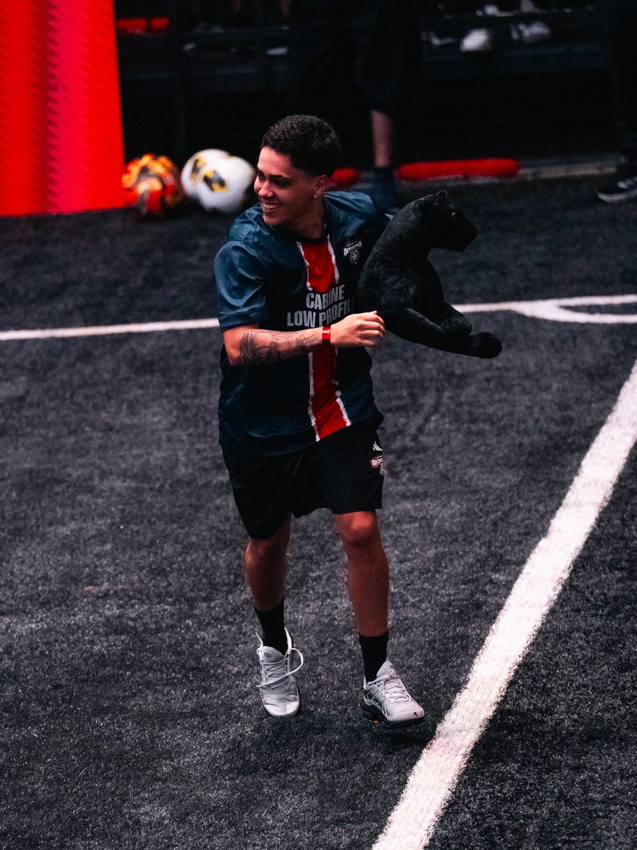 DesimpaiN tweet media