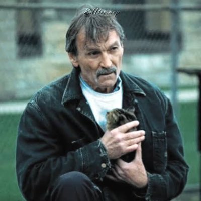 HandÖfLec 🥷 tweet media