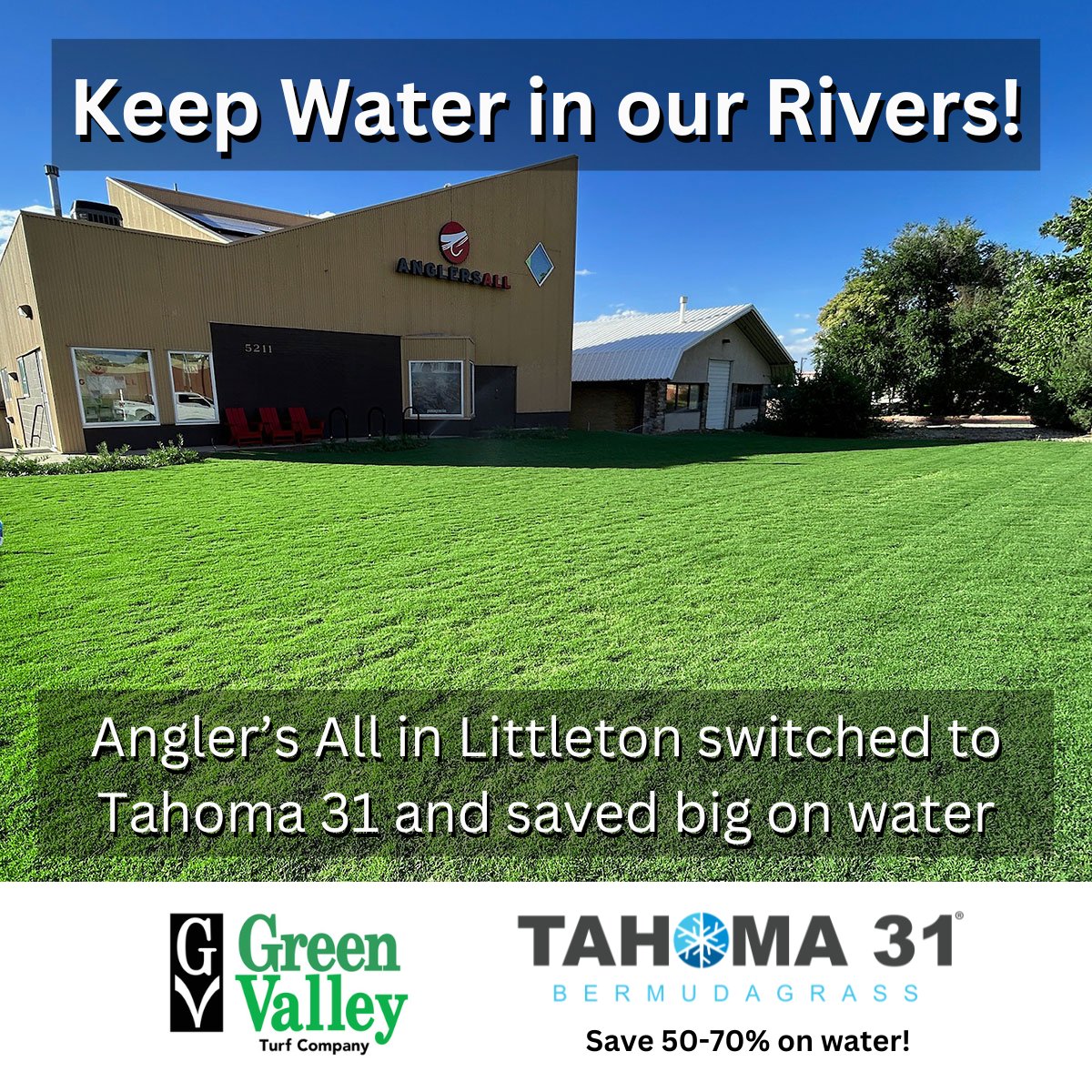 GreenValleyTurf's tweet photo. We talked with the owner of Angler’s All in Littleton to see how replacing his bluegrass with Tahoma 31 helped reduce his water usage. Read more https://t.co/MqmMxudVSN

#Tahoma31 #SaveWaterColorado #SaveWaterOneLawnAtATime #NewColoradoGrass #YoullLoveOurGrass #LawnReplacement https://t.co/mnzfI0ab3r