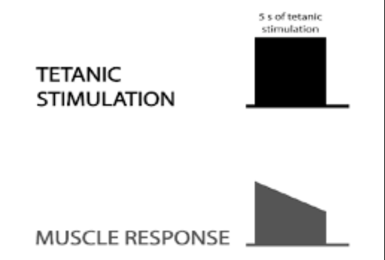 Anesthesia Experts tweet media