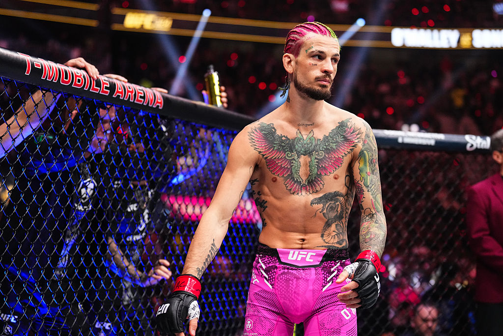 All Out Fighting tweet media