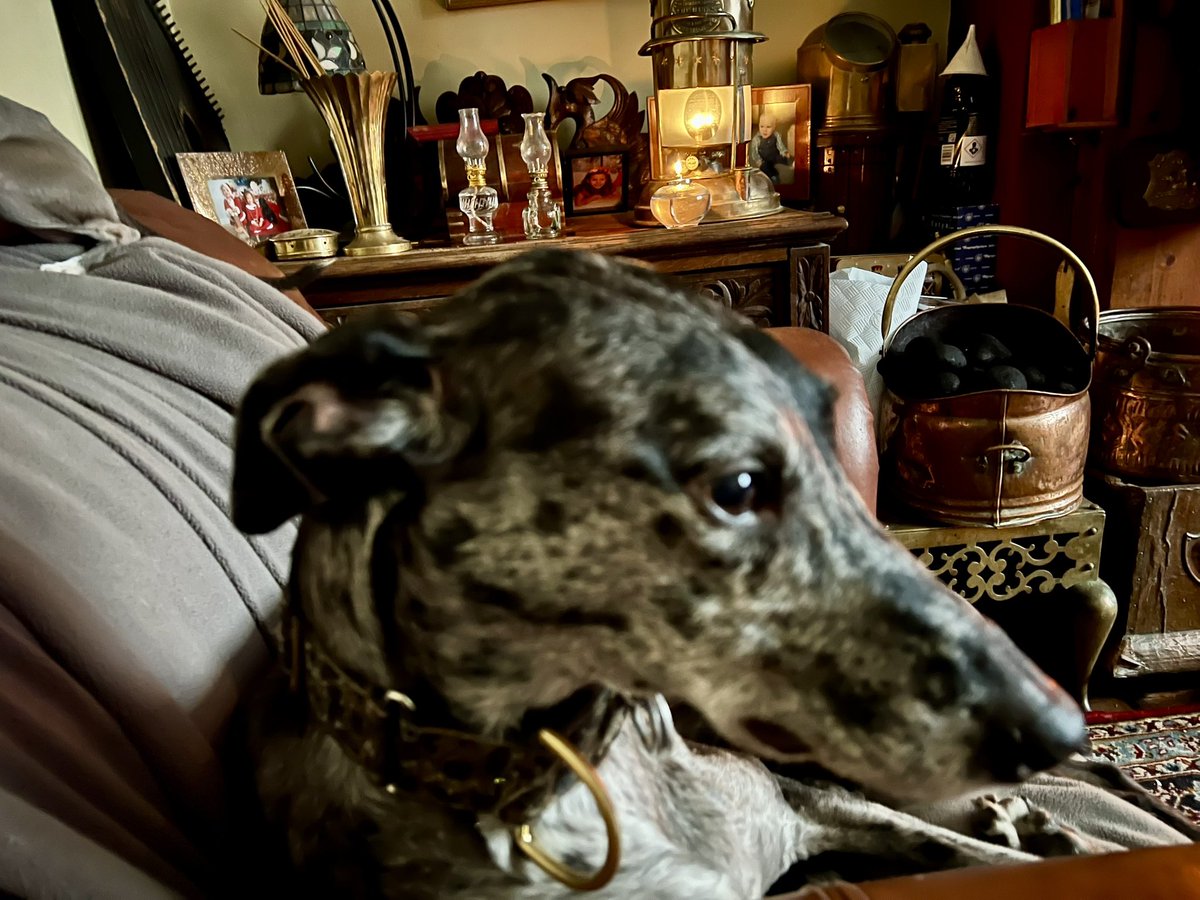 Gary Holman tweet media