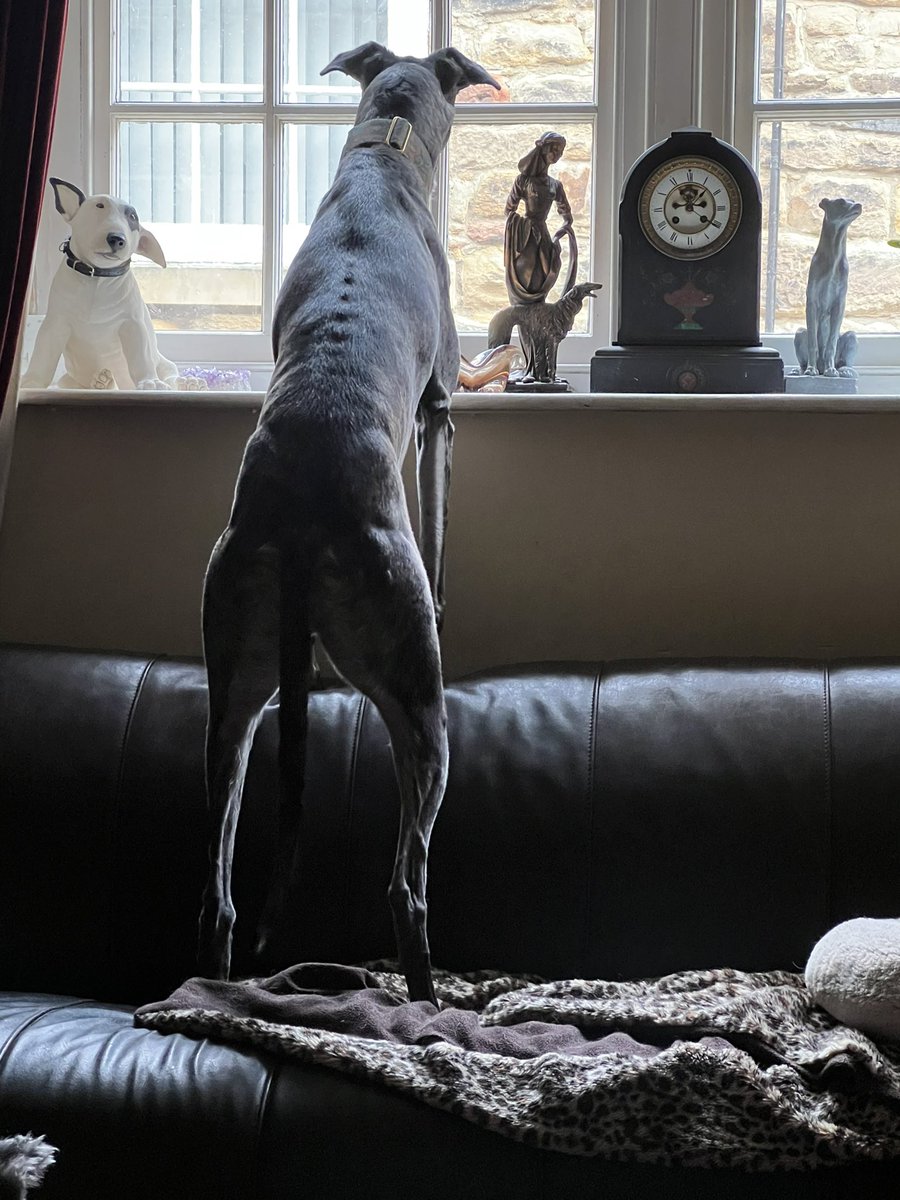 Gary Holman tweet media