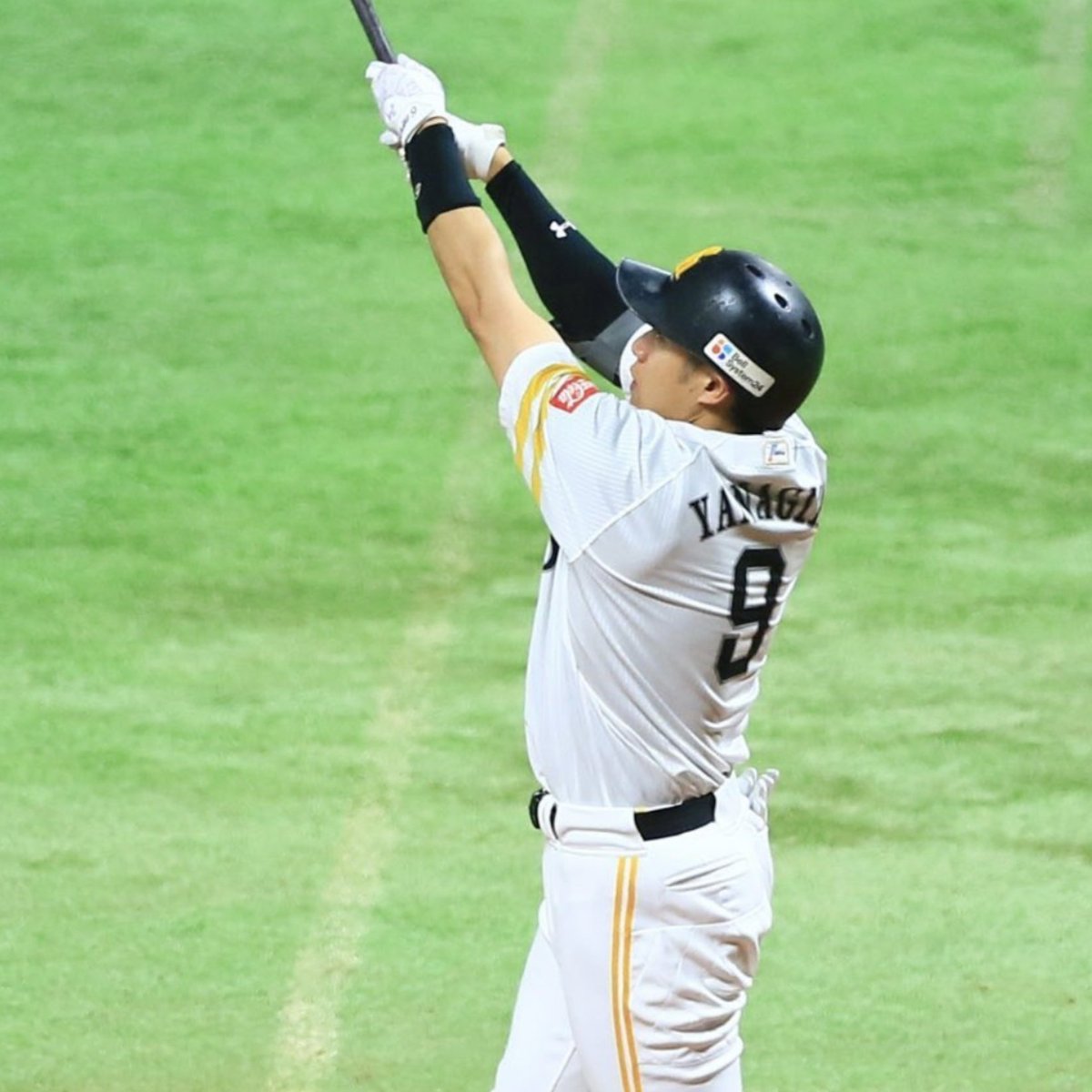 🦅🌈〓ぴぷ〓🌈🦅 tweet media