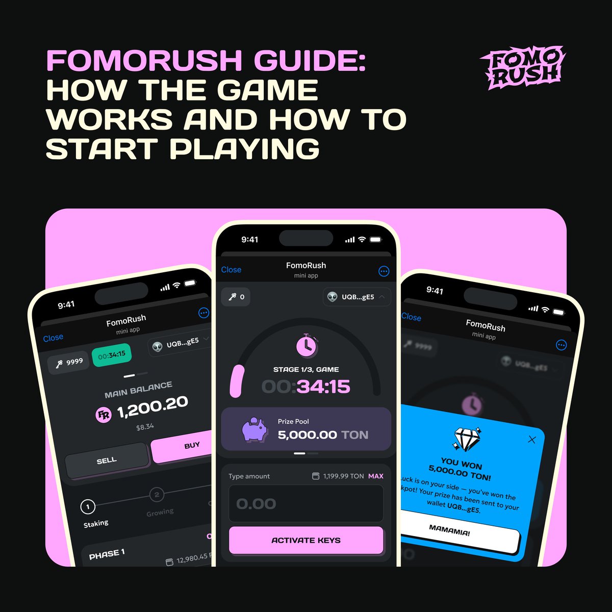 FomoRush tweet media