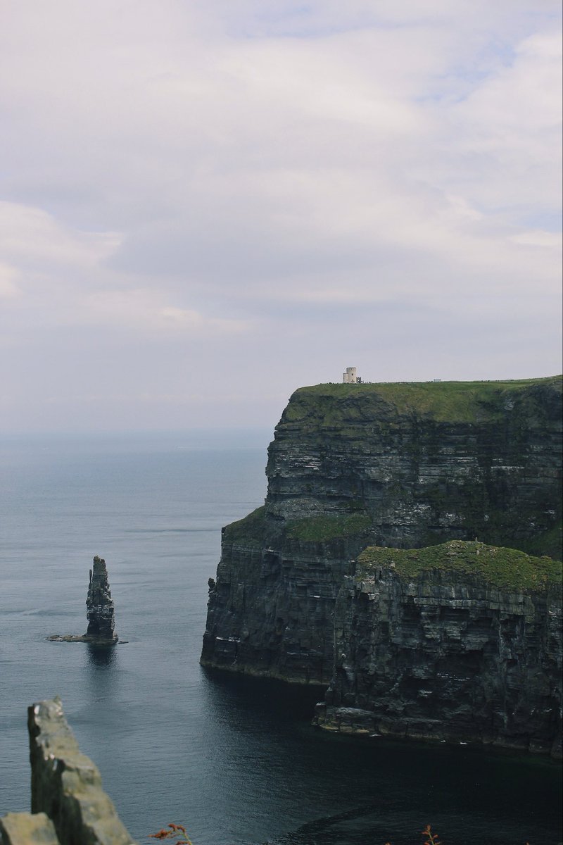 Mackenzie LaPorte tweet media