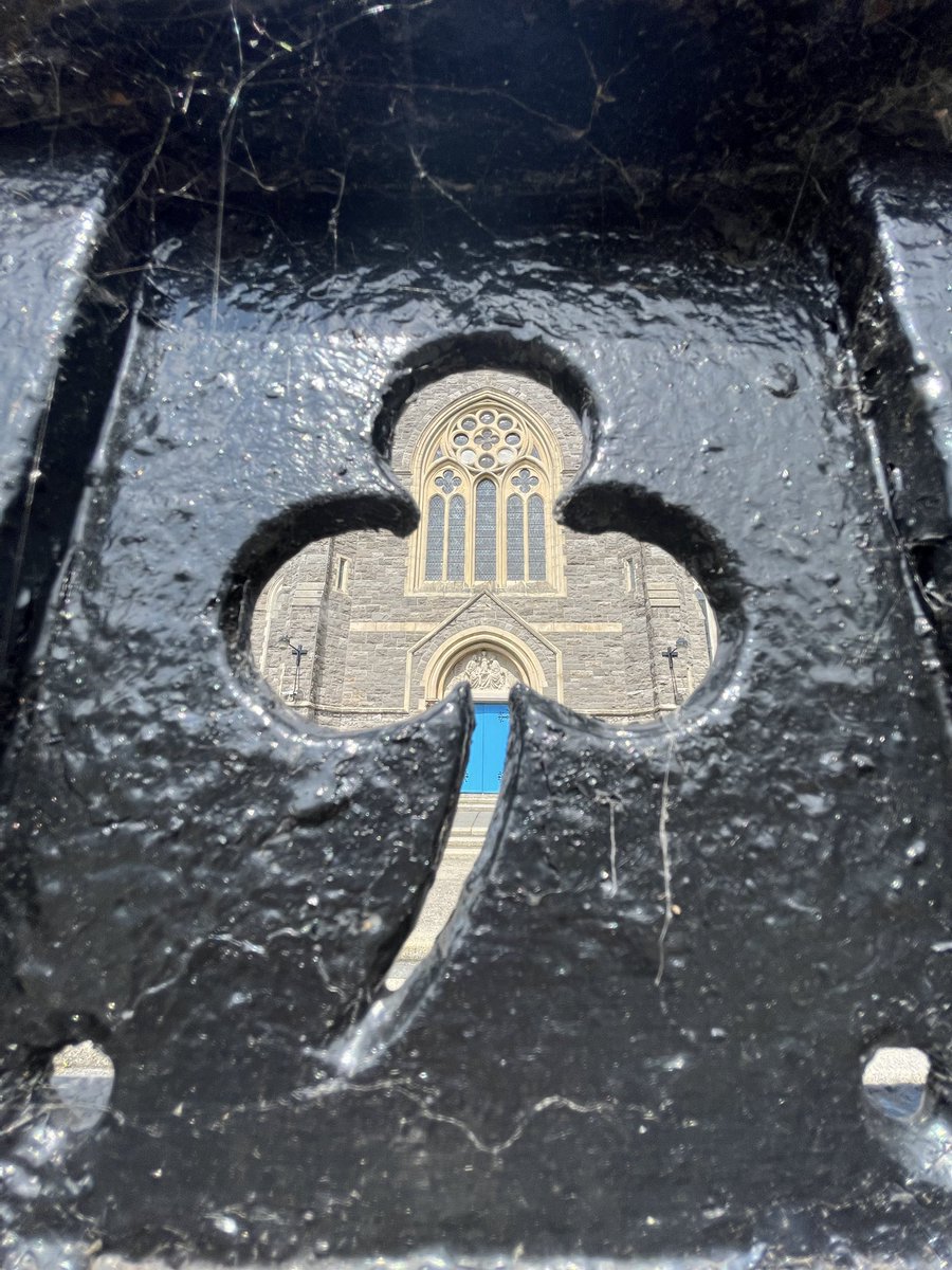 Mackenzie LaPorte tweet media