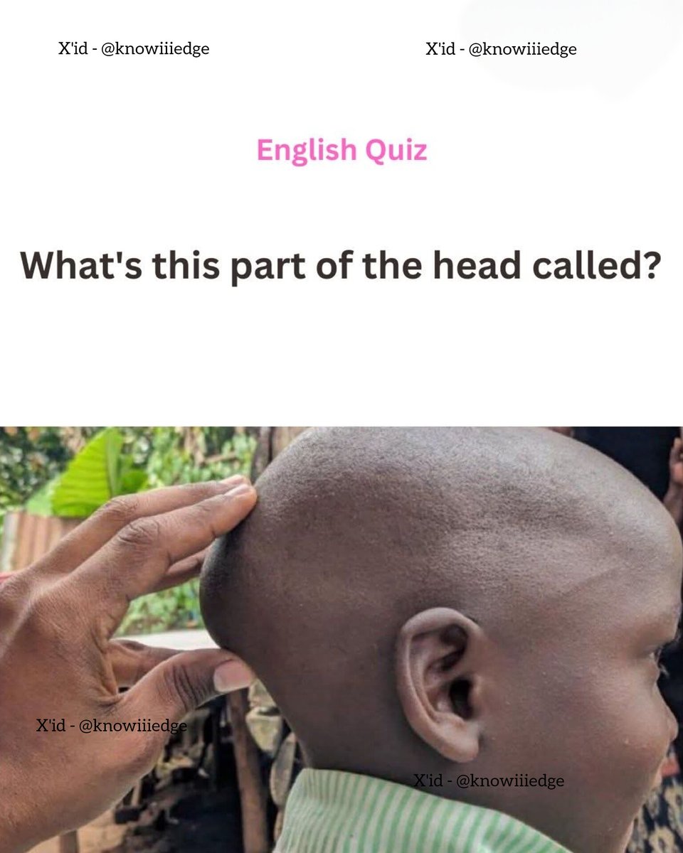 English grammar tweet media