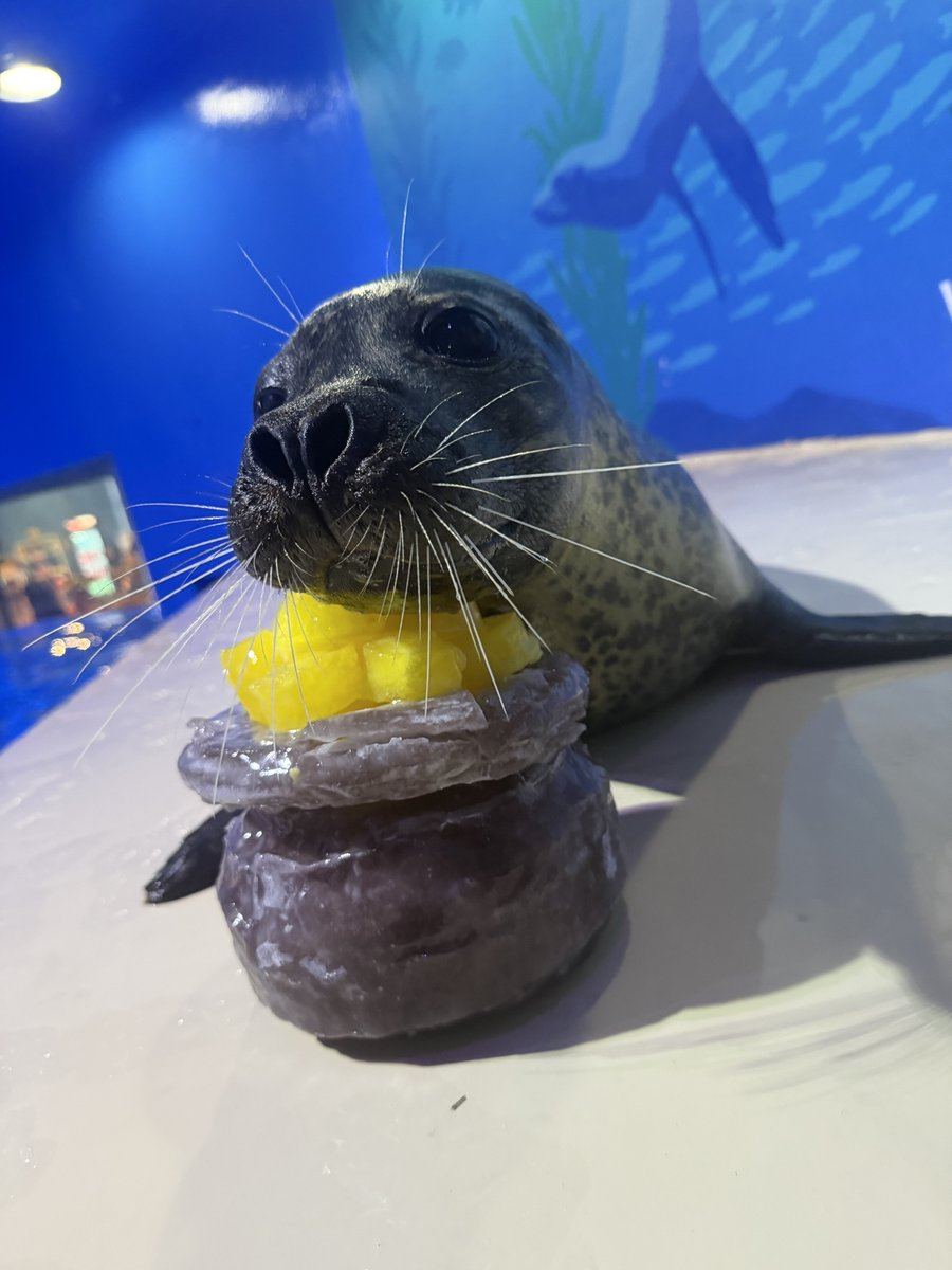 Aquarium of Niagara tweet media