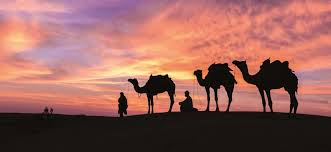 Nuclear Business Platform tweet media