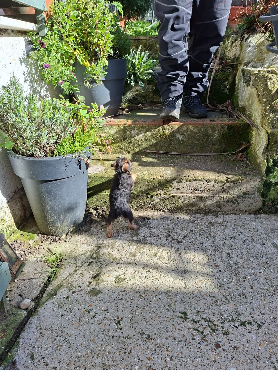 Reginald Barkley - sekretary of da social club! tweet media