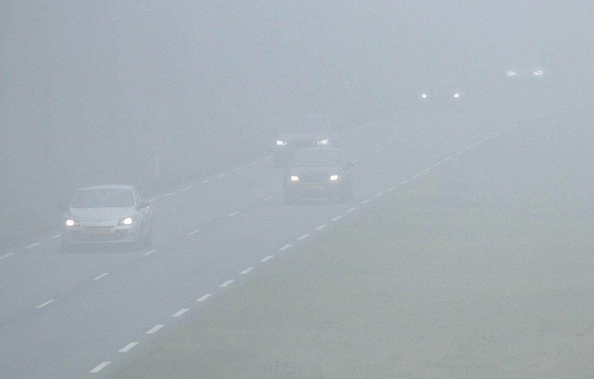 barriosmet's tweet photo. 🌫️ A veces la visibilidad cae a casi cero en cuestión de minutos…

Eso es la niebla, una nube que se forma directamente sobre el suelo.

Pero… ¿por qué aparece tan rápido? ⬇️

Explicación breve

La niebla se forma cuando el aire cercano al suelo se enfría hasta alcanzar el punto de rocío, lo que provoca la condensación del vapor de agua en pequeñas gotas.

Puede aparecer por:
•🌡️ enfriamiento nocturno (niebla de radiación)
•🌊 aire húmedo sobre superficies frías (niebla de advección)
•🌧️ evaporación tras lluvia

🌫️ La niebla no es más que una nube tocando el suelo.

#Meteorología
#Niebla
#Clima
#Ciencia
#Weather