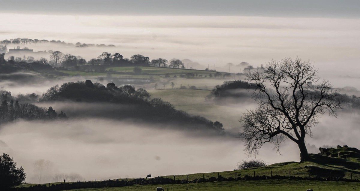 barriosmet's tweet photo. 🌫️ A veces la visibilidad cae a casi cero en cuestión de minutos…

Eso es la niebla, una nube que se forma directamente sobre el suelo.

Pero… ¿por qué aparece tan rápido? ⬇️

Explicación breve

La niebla se forma cuando el aire cercano al suelo se enfría hasta alcanzar el punto de rocío, lo que provoca la condensación del vapor de agua en pequeñas gotas.

Puede aparecer por:
•🌡️ enfriamiento nocturno (niebla de radiación)
•🌊 aire húmedo sobre superficies frías (niebla de advección)
•🌧️ evaporación tras lluvia

🌫️ La niebla no es más que una nube tocando el suelo.

#Meteorología
#Niebla
#Clima
#Ciencia
#Weather