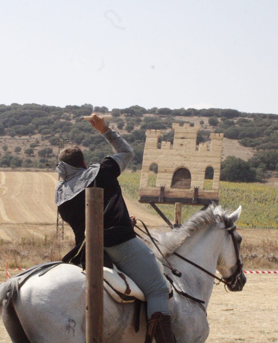 batallatapuerca's tweet photo. En la horas previas a la contienda, las huestes ecuestres entrenan para la batalla.
Imágenes del 30 aniversario de la #BatalladeAtapuerca con Equites Iacobi y ABAC
#FiestadeInterésTurístico #CastillayLeón
#PatrimonioInmaterial #FiestasHistóricas #AEFRH
⚔️ #Atapuerca #Burgos ⚔️ https://t.co/wrLJlLu3lE