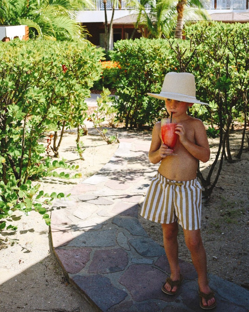 Four Seasons Nevis tweet media