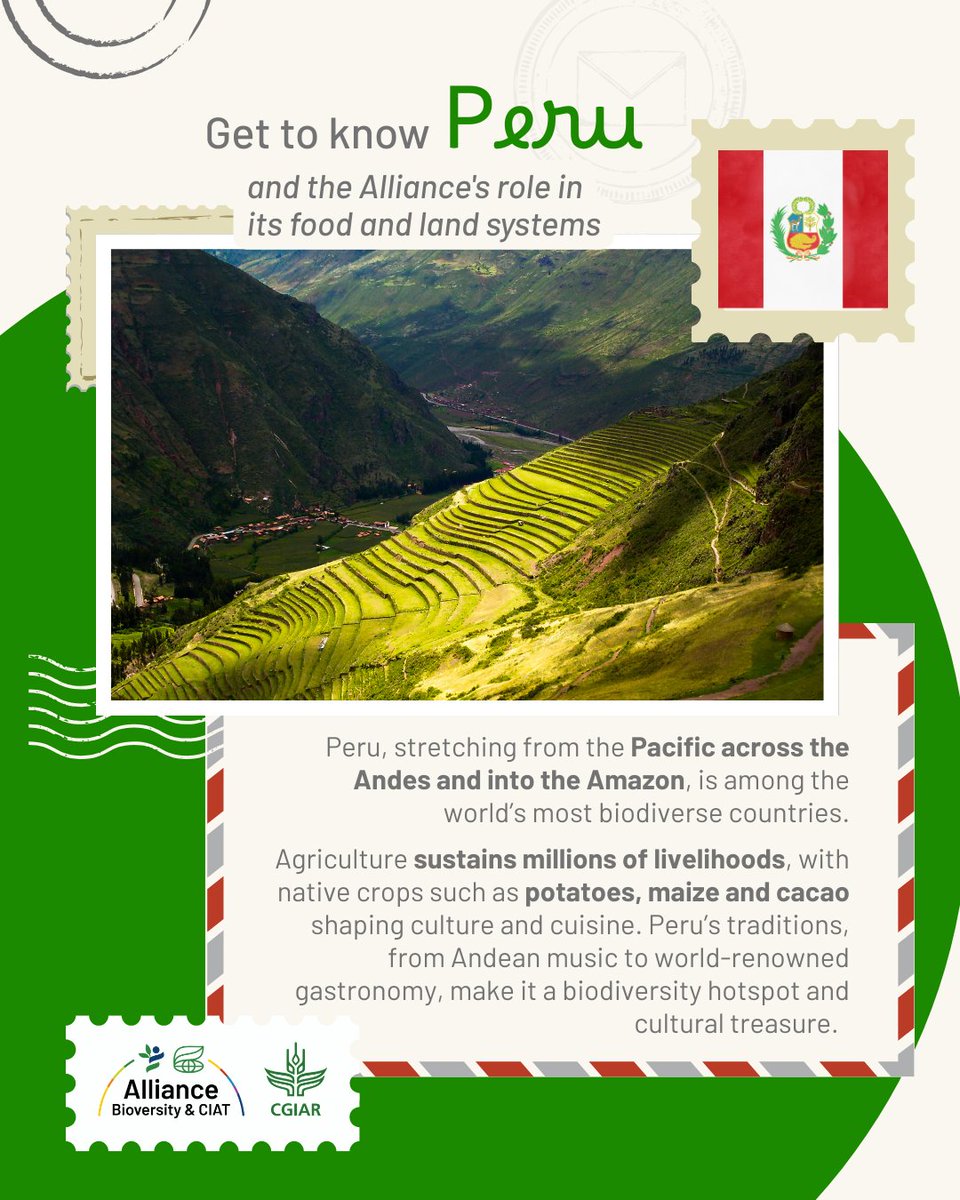 Alliance of Bioversity International and CIAT tweet media