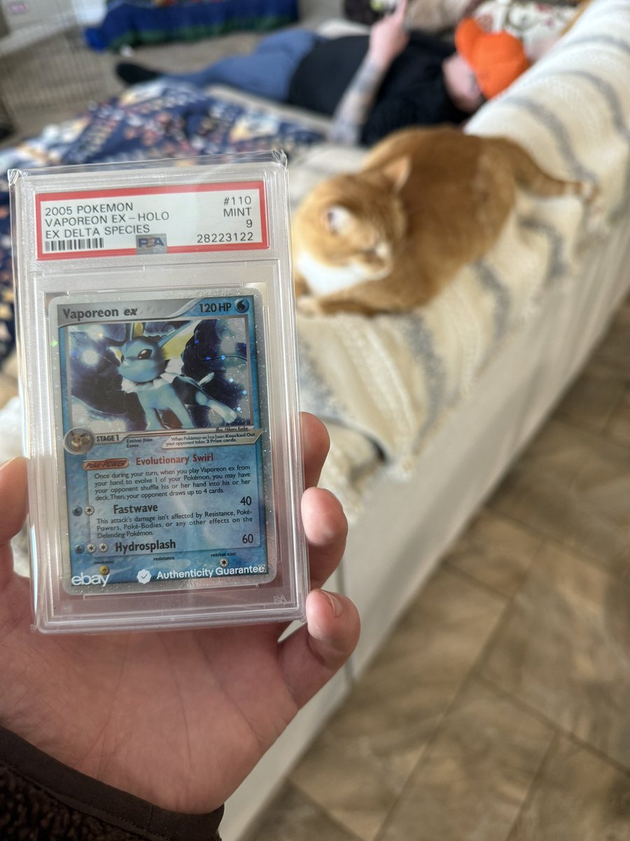 jkwest.eth tweet media