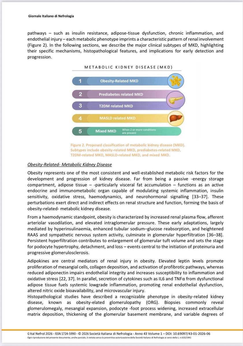 Dr Jorge Rico Fontalvo. MD.FISN. FSLANH , PhD tweet media