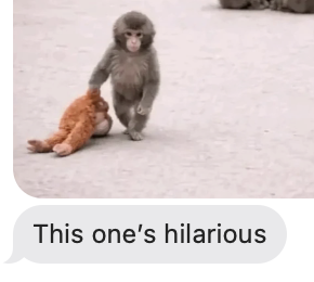 Jason Levin tweet media