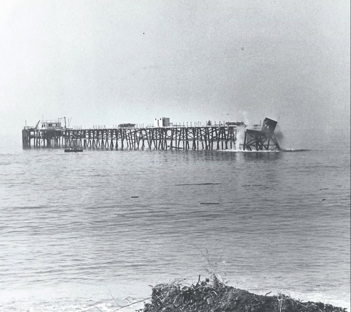 🌴Arnie MacGeddon🌴 tweet media