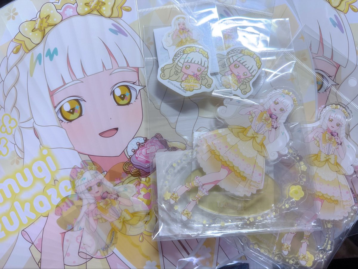 プリンセスがいっぱい🤍✨️
特典も来てくれて🥹🤍ほんとに天使すぎるっ✨️
うちわもめちゃんこにかわいくて現地で使うのがほんとに楽しみっ❕