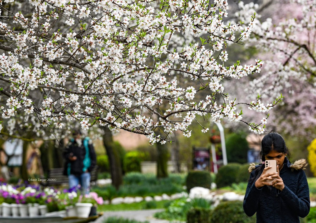 Basit Zargar (باسط) tweet media