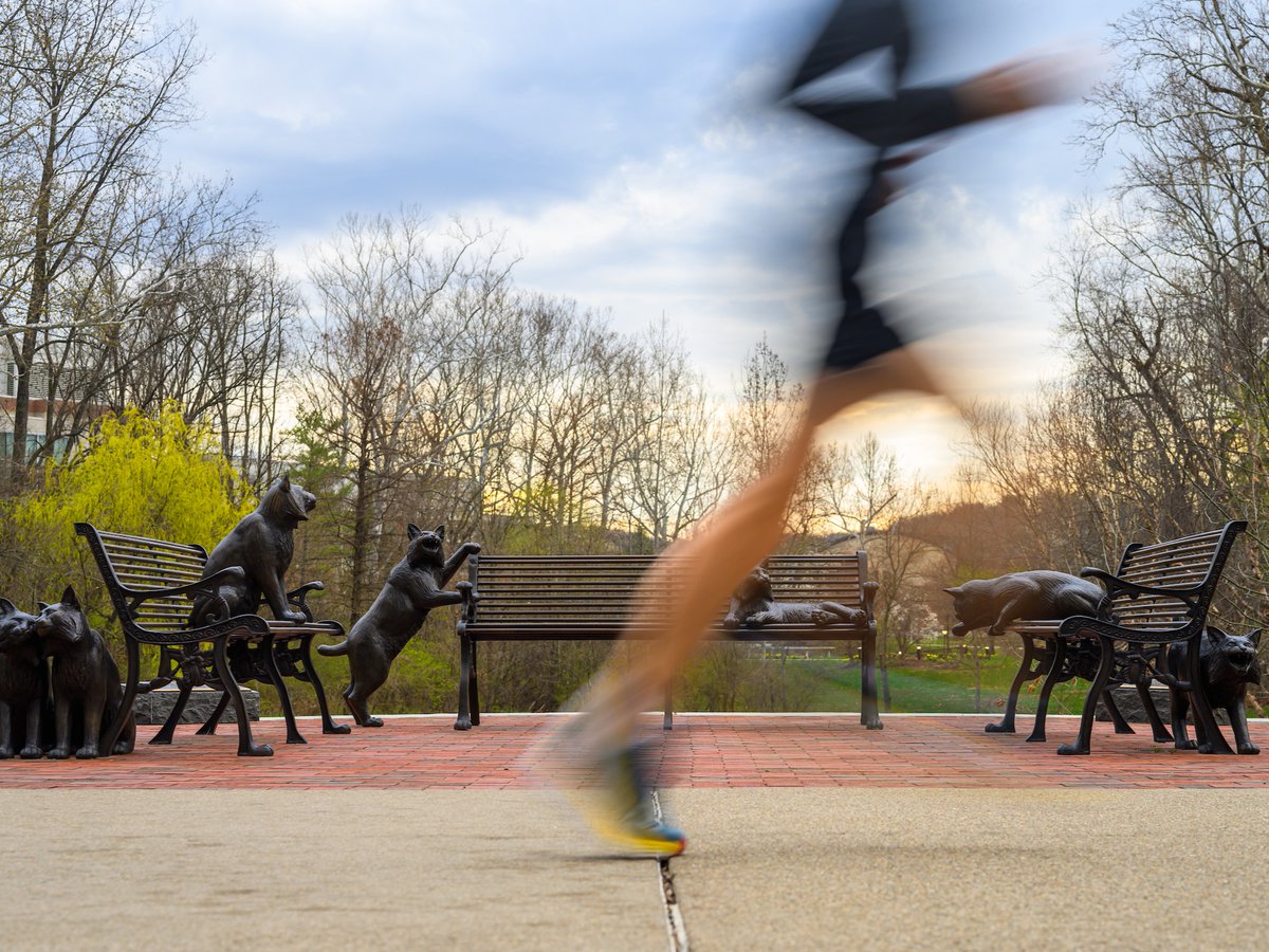 OHIO College of Health Sciences & Professions tweet media
