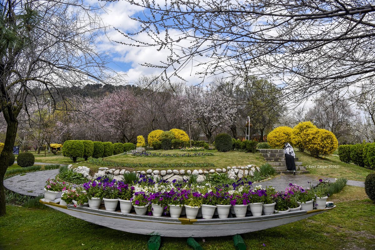 Basit Zargar (باسط) tweet media