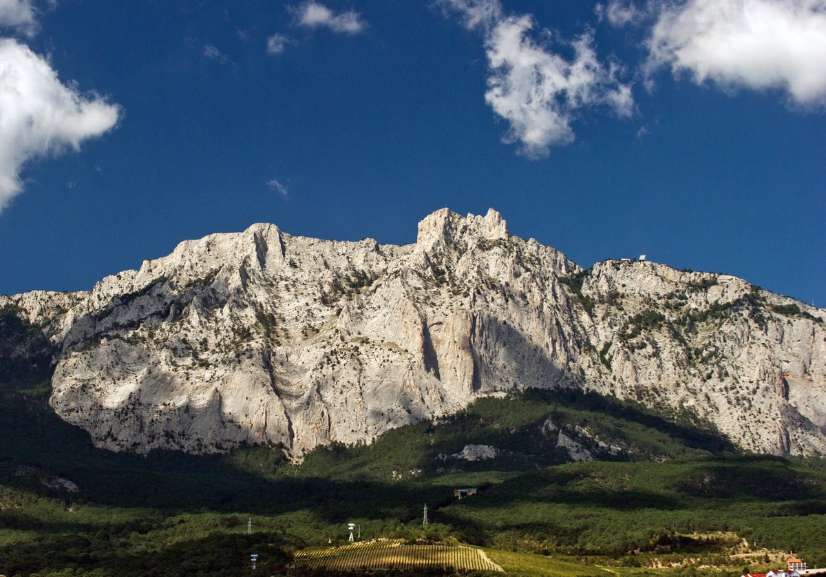 Botschaft der Russischen Föderation tweet media