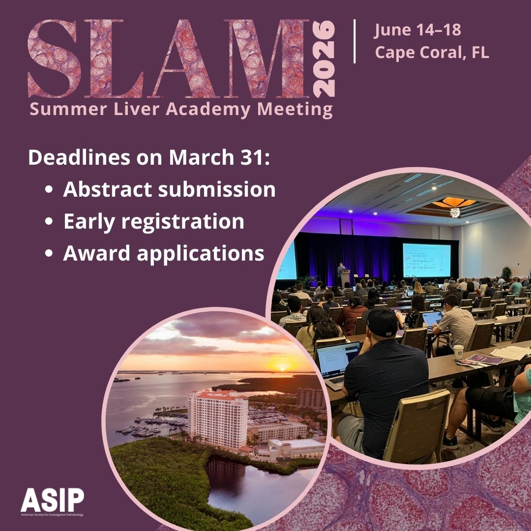 American Society for Investigative Pathobiology tweet media