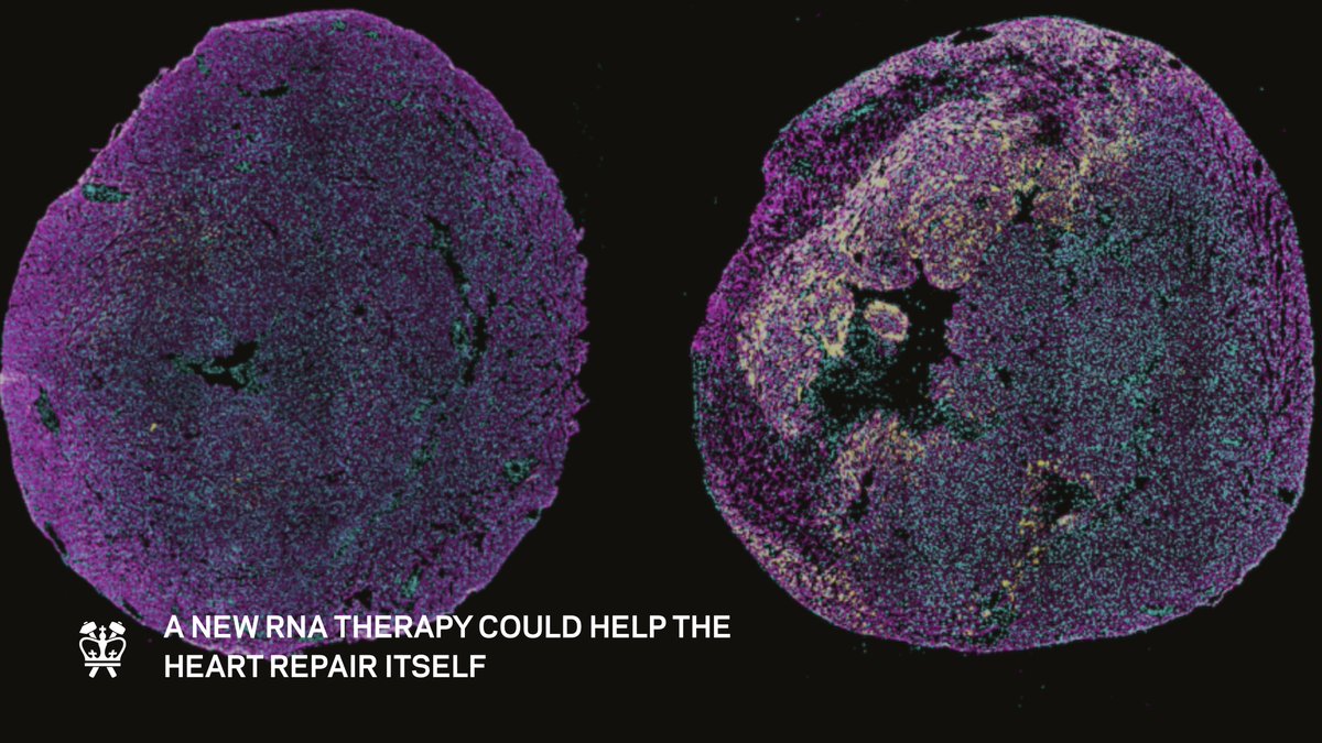 Columbia Engineering tweet media