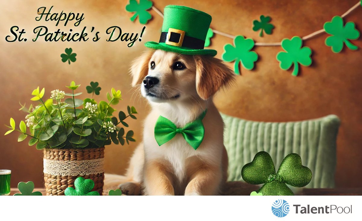 The Talent Pool tweet media