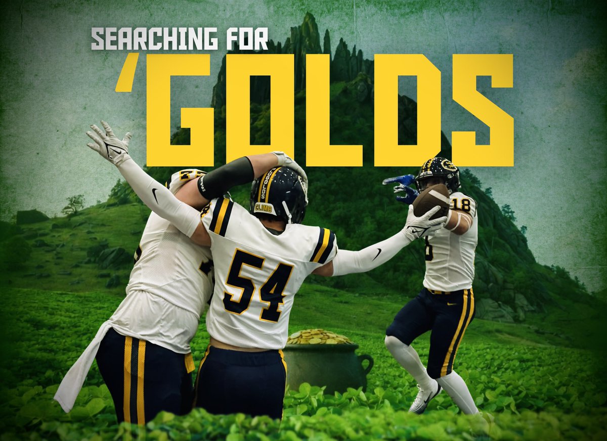 Blugold Football tweet media