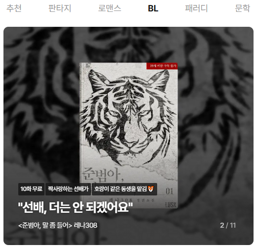 비스킷미디어 tweet media