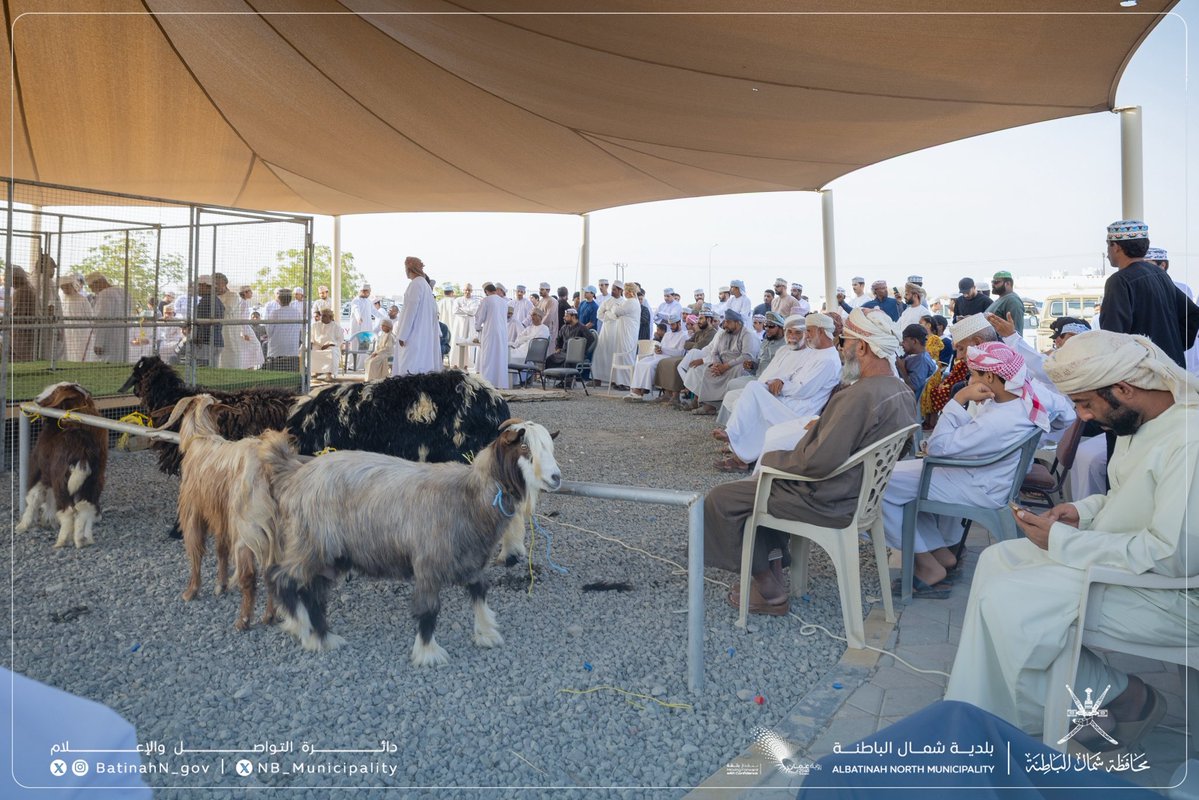 بلدية شمال الباطنة tweet media