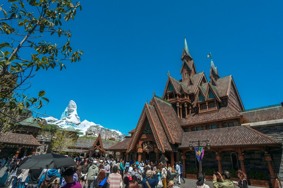 Somewhere Between Dream and Reality tweet media