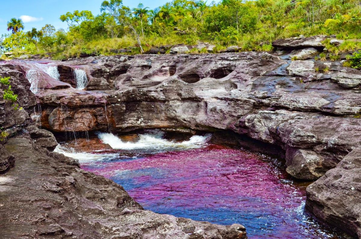Colombia Belleza Pura tweet media