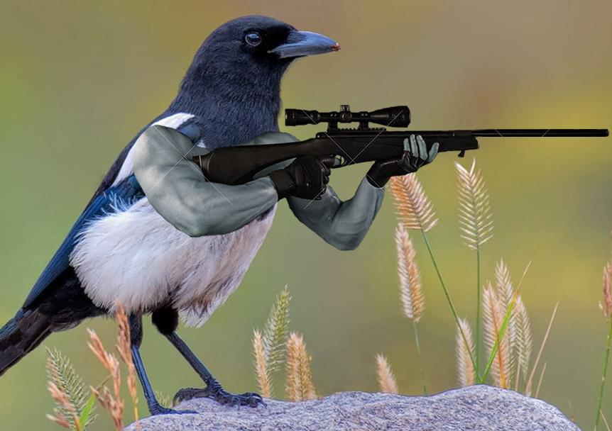 Doc 🔛 Paternity Leave tweet media