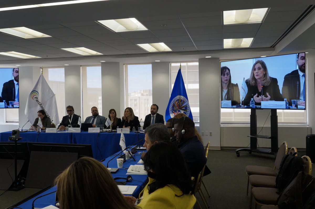 OEA Democracia tweet media