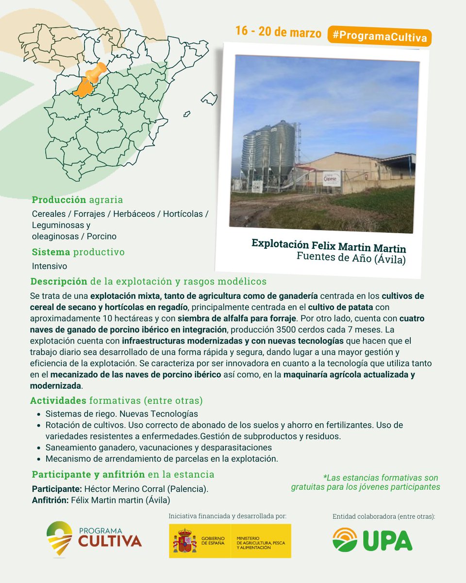 RAÍCES por UPA Joven tweet media