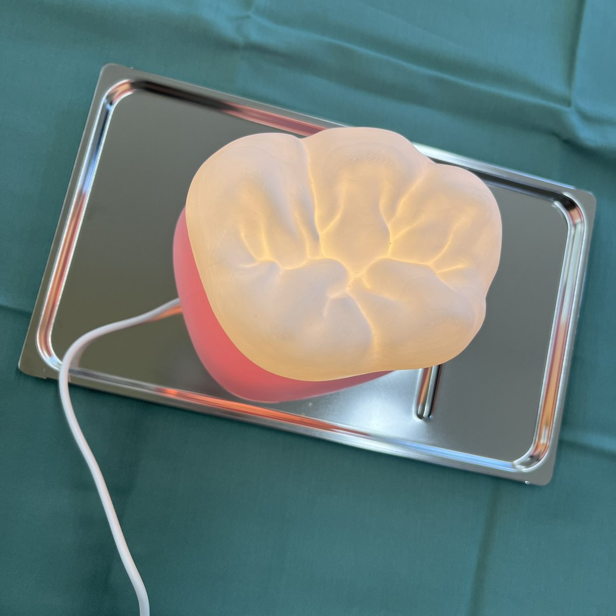 わだラボ tweet media