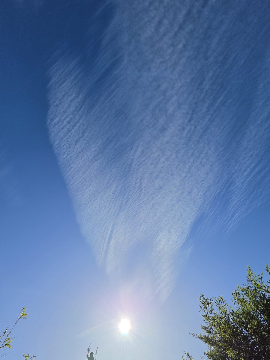 Anti Lockdown Alliance(GLOBAL) tweet media