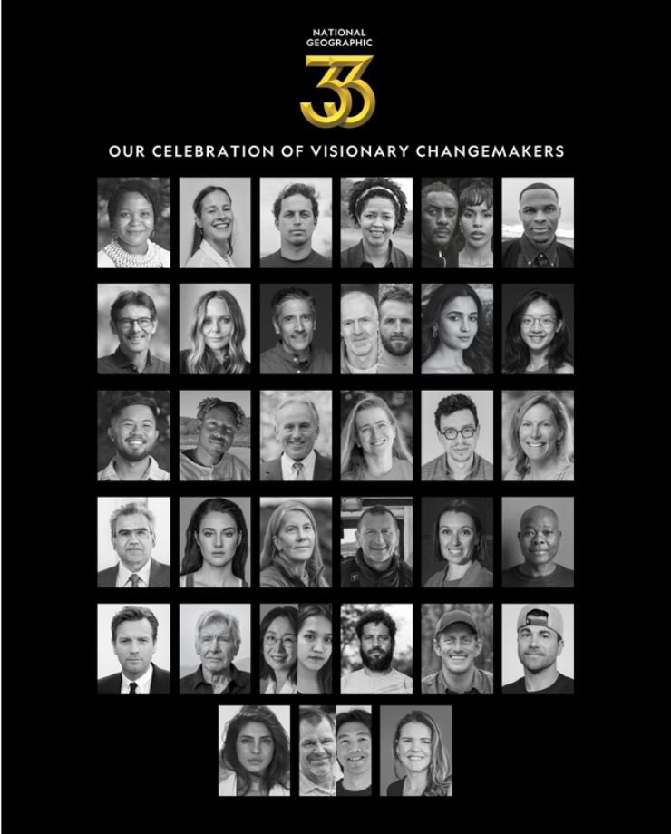 WildlifeDirect tweet media