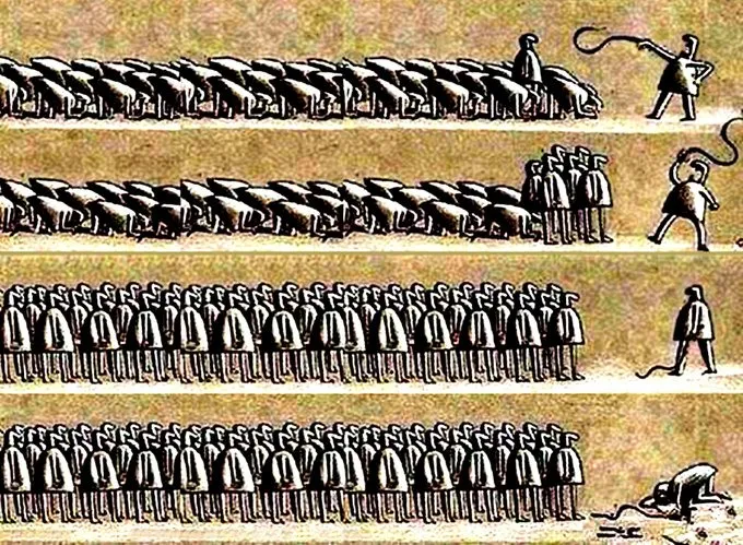 Danny Celovsky tweet media